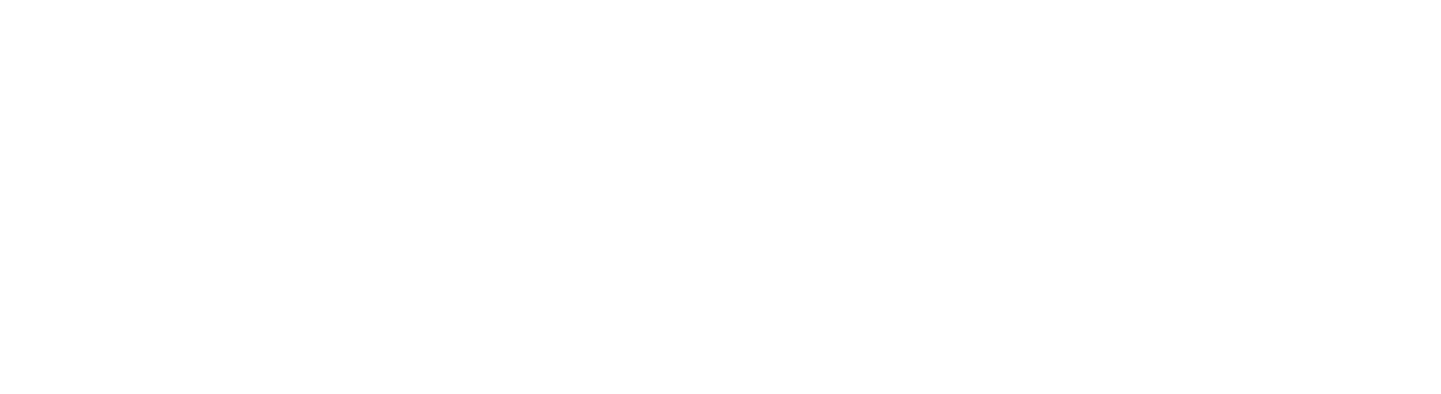 Logo Ziegler Engineering